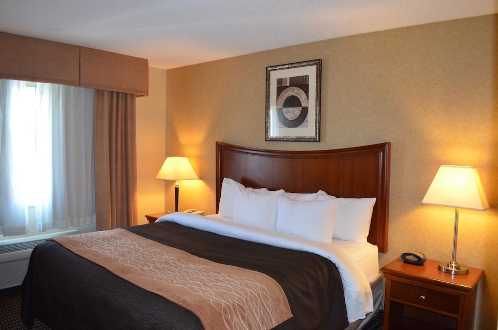 Comfort Inn & Suites Vancouver Downtown City Center Zewnętrze zdjęcie