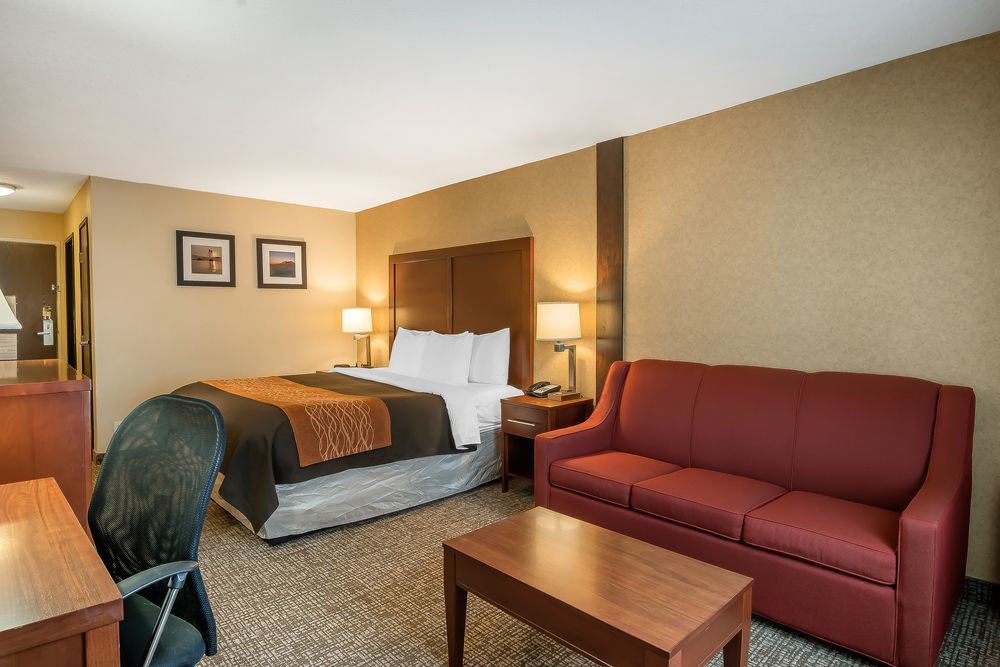 Comfort Inn & Suites Vancouver Downtown City Center Zewnętrze zdjęcie